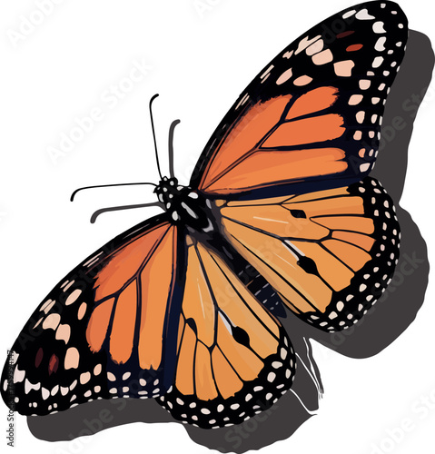 Detailed Illustration of a Monarch Butterfly with Vibrant Orange Wings