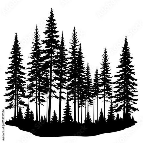 Silhouette forest trees vector illustration evergreen forest landscape art