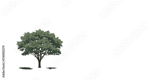 Isolated Tree Silhouette Against Dark Backdrop Representing Solitude and Environmental Concepts