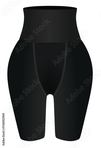 High waist panties. vector illustration	

