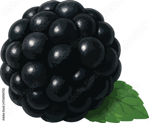 Dark ripe blackberry with green leaf on white background