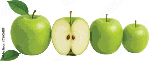 Four green apples one cut in half with seeds fruit