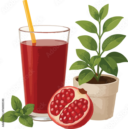 Glass of red juice with pomegranate and potted plant