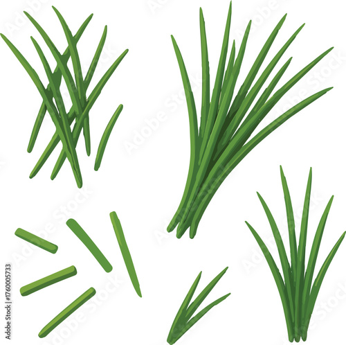 Green Chives Sprigs and Cut Pieces herb fresh