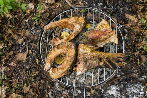 Cooking barbecue in the woods. Cooking fish in nature.