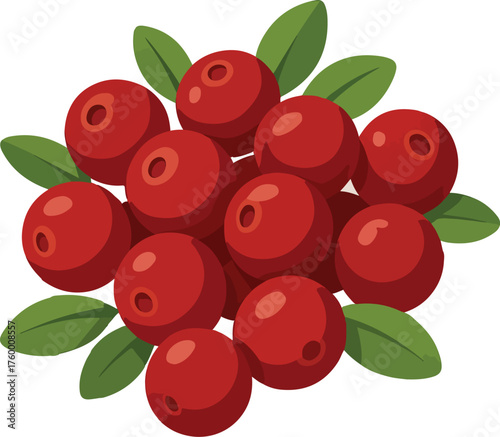 Red Cranberries with Green Leaves Illustration cranberry