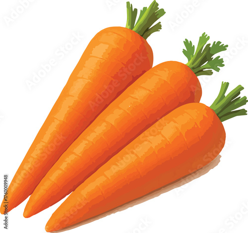 Three orange carrots with green tops on white background