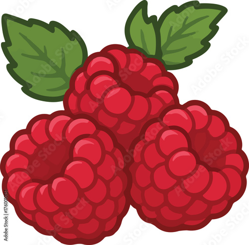 Three red raspberries with green leaves illustration