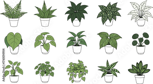 Potted plant collection, green foliage grid, leaf pattern illustration, botanical decor, indoor houseplants, white pots, nature design, home greenery