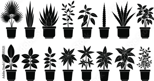 Black plant silhouettes, potted leaf shapes, stylized botanical icons, indoor foliage vector set, minimalist nature design, decorative plant graphics