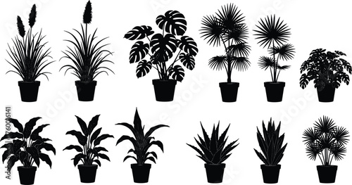Black plant silhouettes, indoor foliage icons, potted plant shapes, minimalist botanical design, houseplant vector set, decorative leaf collection