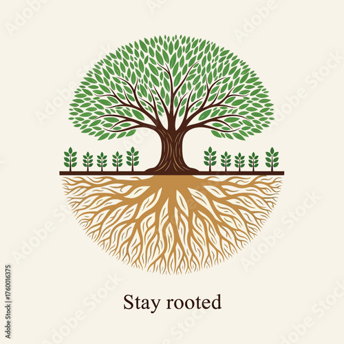 An elegant vector graphic of a circular tree with a visible, deep root system, symbolizing stability, heritage, and the concept of staying rooted