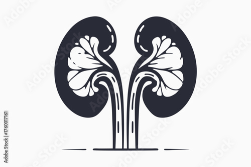 Human kidneys are rendered in a monochromatic style and a stylized minimal aesthetic