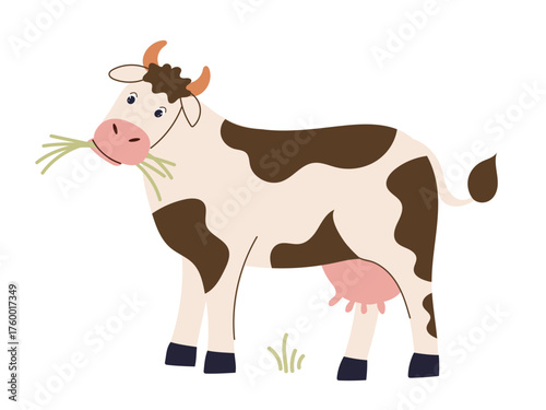 A charming illustration of a dairy cow with brown and white spots, horns, and an udder, chewing grass. Element decor for farm, animal, dairy, rural, and educational designs, representing domestic live