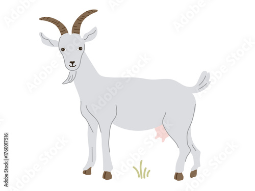 A charming  illustration of a grey goat with prominent horns and an udder, standing on the grass. Decor element for farm, animal, dairy, rural, and educational designs, representing domestic livestock