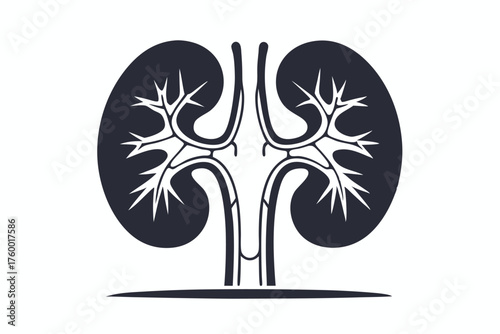 Dark simplified kidney anatomical structure highlights inner branching in this minimalist artistic style