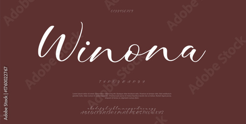 signature Font Calligraphy Logotype Script Brush Font Type Font lettering handwritten. vector illustration