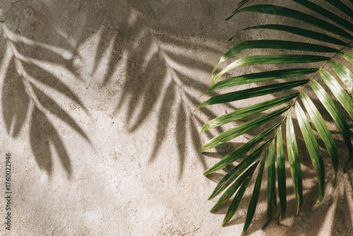 Fototapeta Naklejka Na Ścianę i Meble -  Close-up of a green palm leaf casting intricate shadows on sandy surfaces.
