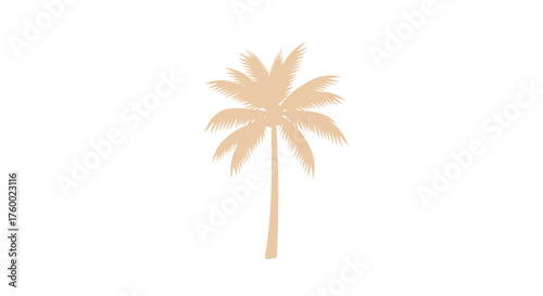Minimalist Palm Tree Silhouette Against a Sumptuous Black Backdrop, Tropical Vibe