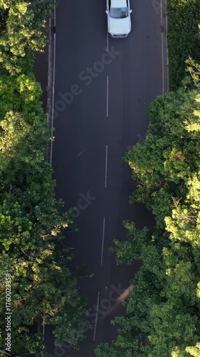Aerial vertical footage of vehicles moving on a road through green forest