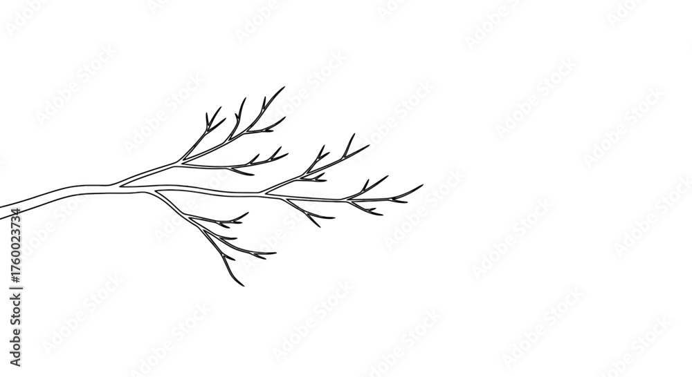 Fototapeta premium Minimalist Silhouette of a Twig Against Darkness, Evoking Abstract And Subtle Art