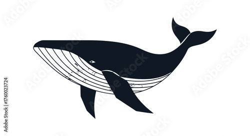 Minimalist Silhouette of a Majestic Whale against a Deep Black Backdrop Design