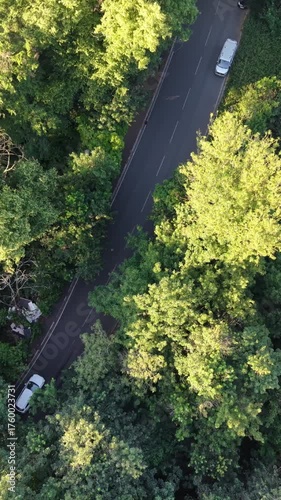 Aerial vertical footage of vehicles moving on a road through green forest