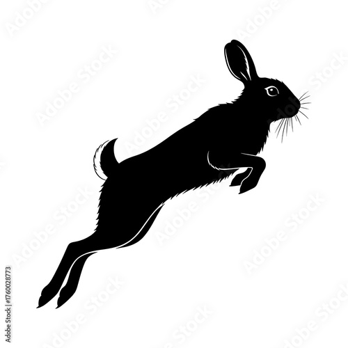 Silhouette of a jumping rabbit on a white background