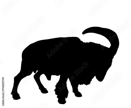 Goat Barbary sheep vector silhouette illustration isolated on background. Wild animal symbol. Goat shape shadow. Bighorn ram silhouette in wildlife. Rock climbing animal wildlife hiking.