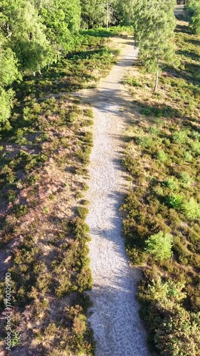 Drone footage moving over hiking path in green woodland