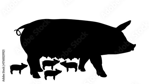 Female pig sow breastfeed piglets vector silhouette illustration isolated. Pork meat. Butcher shop wallpaper poster. Farm animal symbol pig. Domestic animal. Swine silhouette. Sow sign. Organic food.