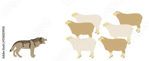 Hungry wolf hunting flock of sheep vector illustration isolated on background. Danger predator in hunt, alert for domestic farm animals crowd. Lamb meat. Damage for farmer wolf hunter.