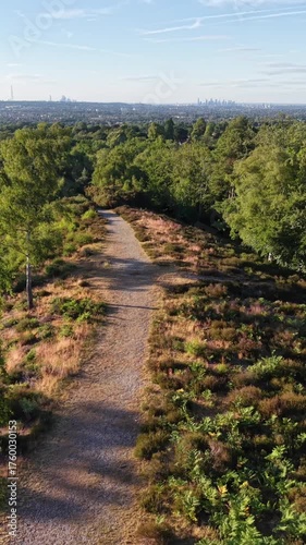 Drone footage moving over hiking path in green woodland
