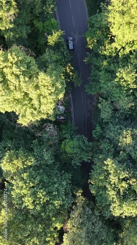 Aerial vertical footage of vehicles moving on a road through green forest