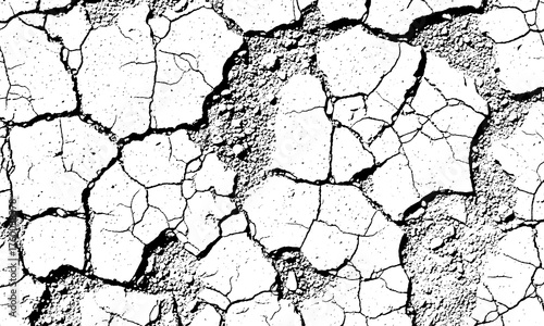 Grunge Background Black and white cracked dry earth texture with granular detail isolated on a transparent background