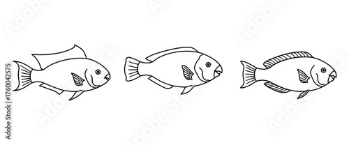 Simple Freshwater Fish Outline Vector Artwork Graphic Elements