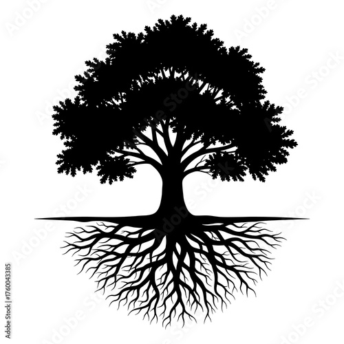 Silhouette of tree with detailed roots on white background