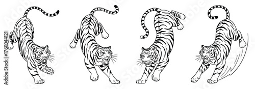 Dynamic Black and White Line Art Illustrations of Tigers in Action Poses animal