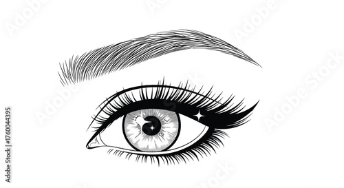 Beautiful feminine eye with elegantly arched eyebrow and long eyelashes.