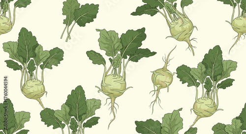 Fresh kohlrabi vegetables with green leaves and roots scattered across the background.