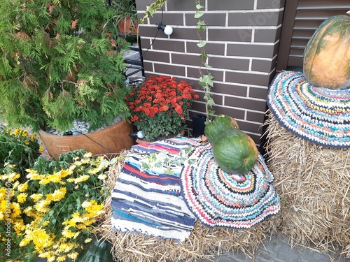 Golden autumn. Autumn flowers.