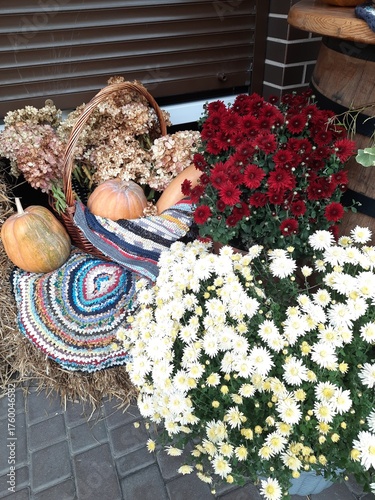 young woman sitting on a bench in the garden