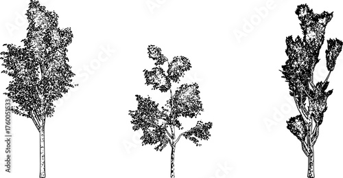 Trees