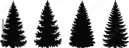 Set of black silhouette pine trees — evergreen forest tree collection for winter, nature, and Christmas design