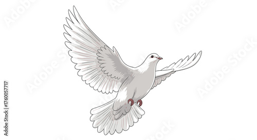 A beautiful white dove is flying through the sky with its wings spread wide.