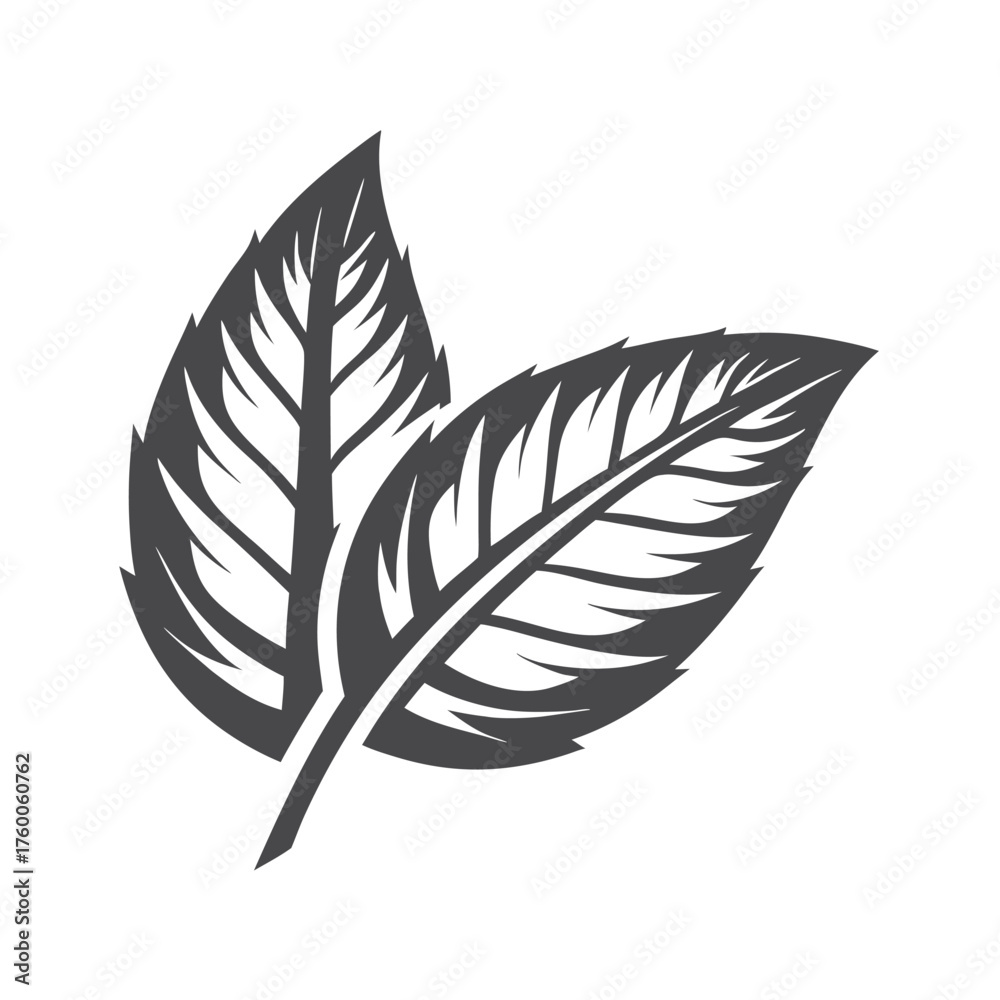 Fototapeta premium Two stylized leaves present an organic monochrome emblem suitable for several applications