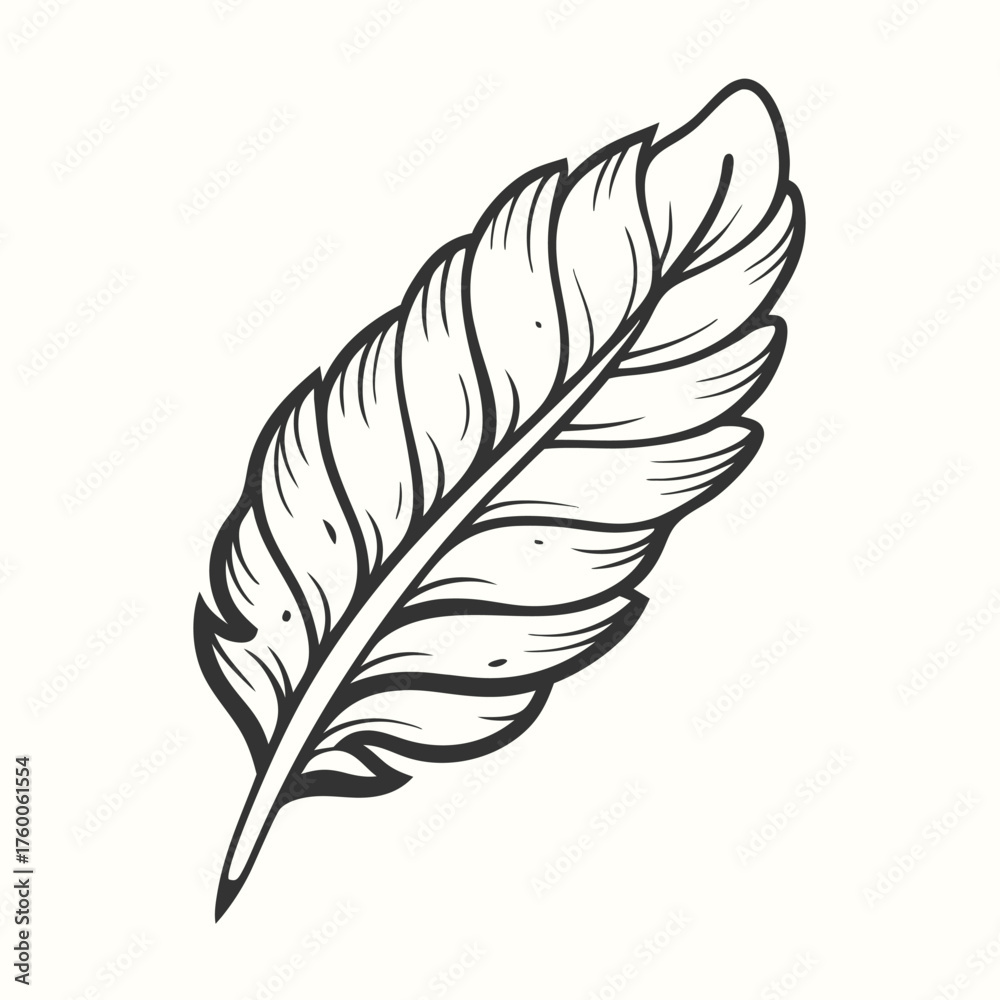 Fototapeta premium Simple feather drawing features an elegant black outline against a clean white background