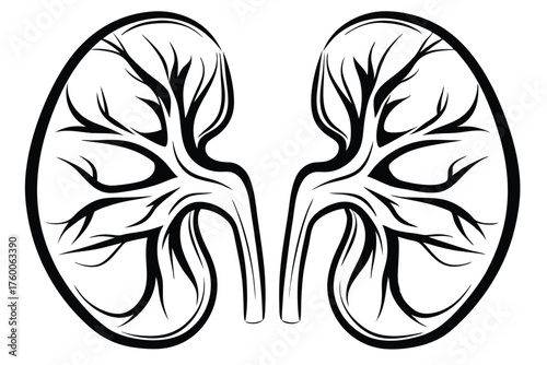 Simple black kidneys displays healthy organs within the human body in silhouette
