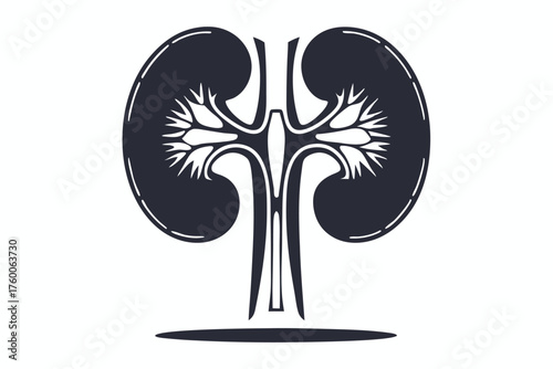Two stylized kidneys present internal branching structures in a black outline against white