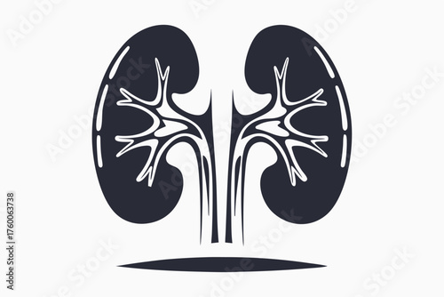 The black outline kidneys showcase intricate tribal patterns on a clean white background